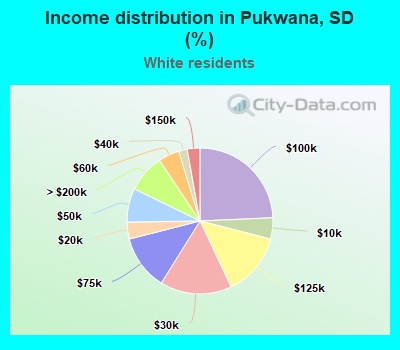 Income distribution in Pukwana, SD (%)