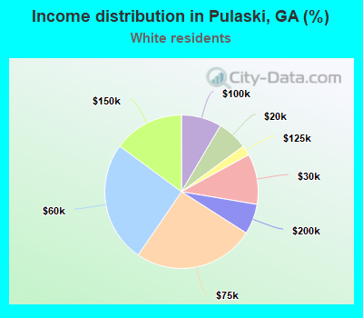 Income distribution in Pulaski, GA (%)