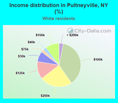 Income distribution in Pultneyville, NY (%)