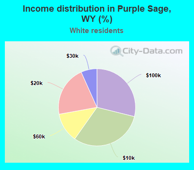 Income distribution in Purple Sage, WY (%)