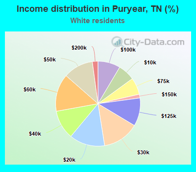 Income distribution in Puryear, TN (%)