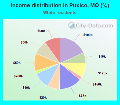 Income distribution in Puxico, MO (%)