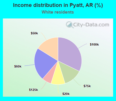 Income distribution in Pyatt, AR (%)