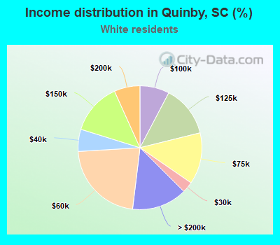 Income distribution in Quinby, SC (%)