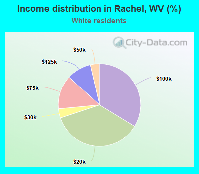 Income distribution in Rachel, WV (%)