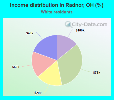 Income distribution in Radnor, OH (%)