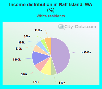 Income distribution in Raft Island, WA (%)