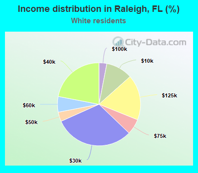 Income distribution in Raleigh, FL (%)