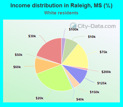 Income distribution in Raleigh, MS (%)
