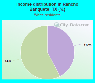 Income distribution in Rancho Banquete, TX (%)