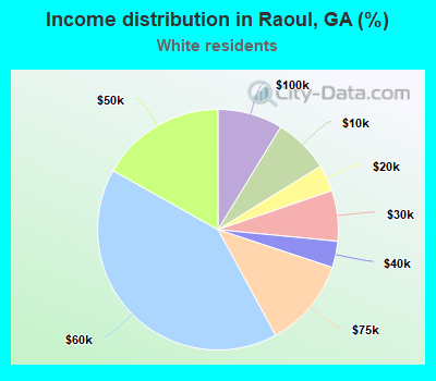 Income distribution in Raoul, GA (%)