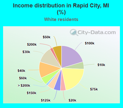 Income distribution in Rapid City, MI (%)
