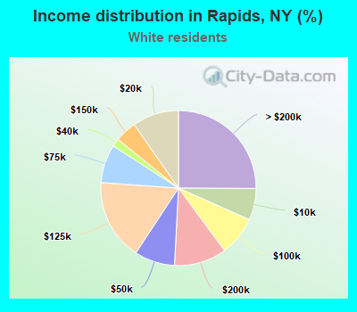 Income distribution in Rapids, NY (%)