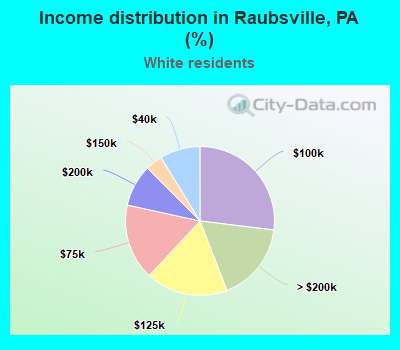 Income distribution in Raubsville, PA (%)