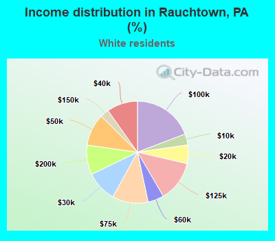 Income distribution in Rauchtown, PA (%)