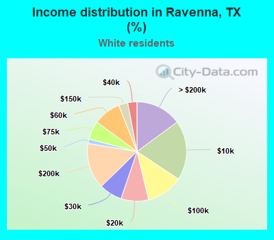 Income distribution in Ravenna, TX (%)