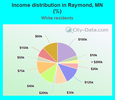 Income distribution in Raymond, MN (%)