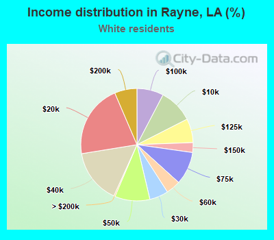 Income distribution in Rayne, LA (%)