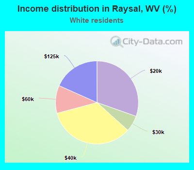 Income distribution in Raysal, WV (%)