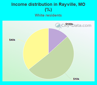 Income distribution in Rayville, MO (%)