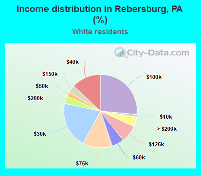 Income distribution in Rebersburg, PA (%)