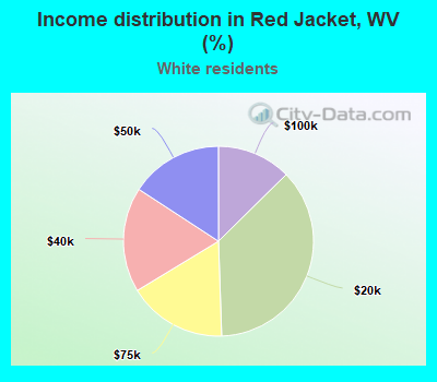 Income distribution in Red Jacket, WV (%)