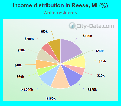Income distribution in Reese, MI (%)