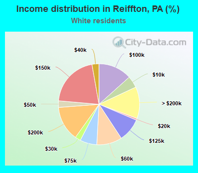 Income distribution in Reiffton, PA (%)