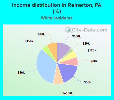 Income distribution in Reinerton, PA (%)