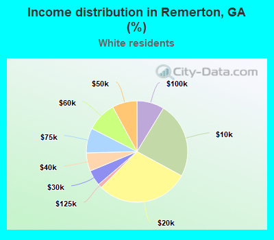 Income distribution in Remerton, GA (%)