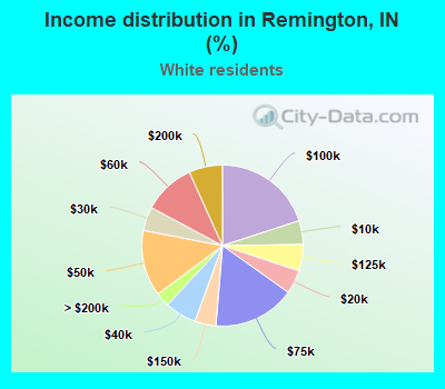 Income distribution in Remington, IN (%)