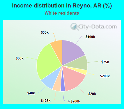 Income distribution in Reyno, AR (%)