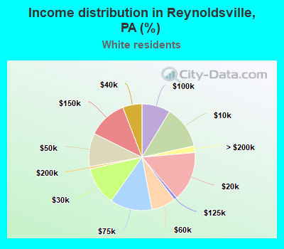 Income distribution in Reynoldsville, PA (%)