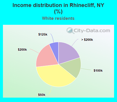 Income distribution in Rhinecliff, NY (%)
