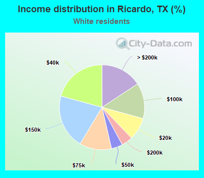 Income distribution in Ricardo, TX (%)