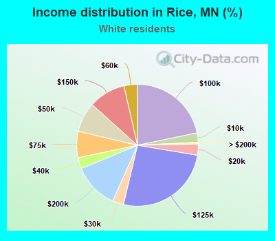 Income distribution in Rice, MN (%)