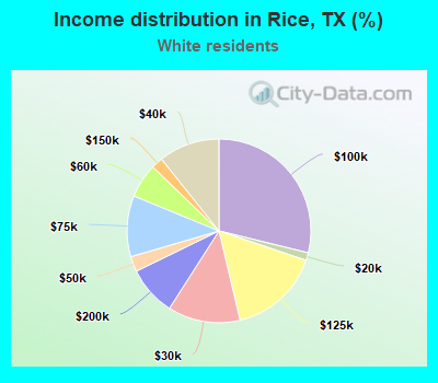 Income distribution in Rice, TX (%)