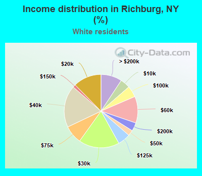 Income distribution in Richburg, NY (%)