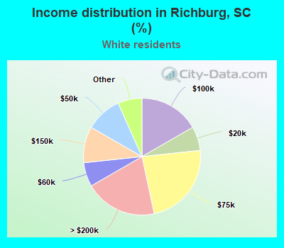 Income distribution in Richburg, SC (%)