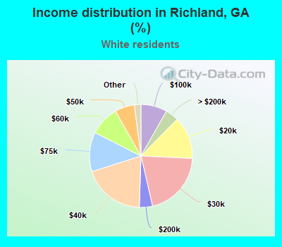 Income distribution in Richland, GA (%)