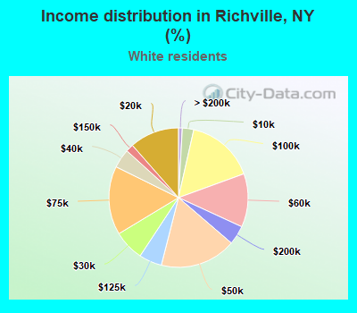 Income distribution in Richville, NY (%)