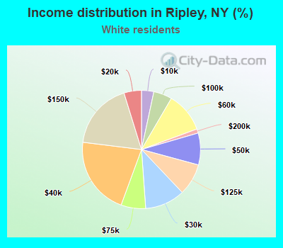 Income distribution in Ripley, NY (%)