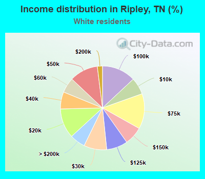 Income distribution in Ripley, TN (%)