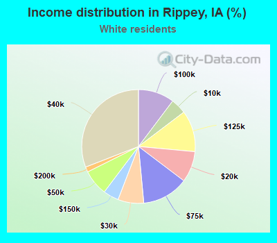 Income distribution in Rippey, IA (%)