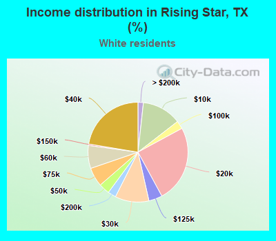 Income distribution in Rising Star, TX (%)