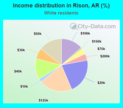 Income distribution in Rison, AR (%)