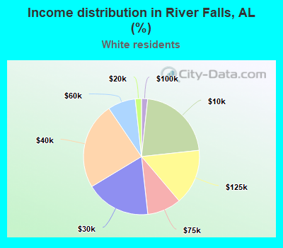 Income distribution in River Falls, AL (%)