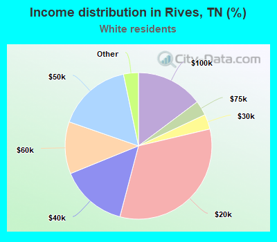 Income distribution in Rives, TN (%)