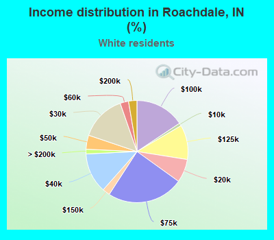 Income distribution in Roachdale, IN (%)