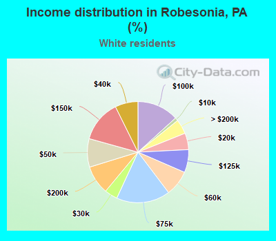 Income distribution in Robesonia, PA (%)